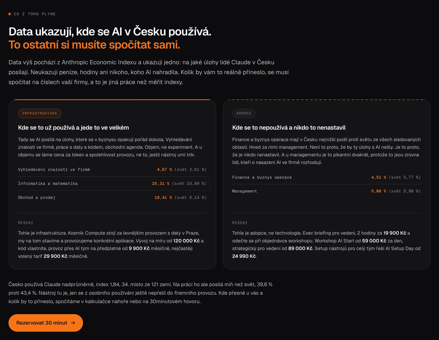 A summary of AI usage data in the Czech Republic and a comparison of two types of companies