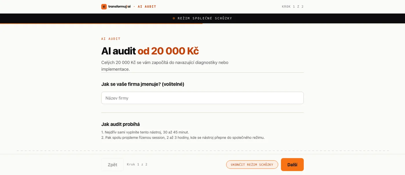 A joint audit: the system and the person both check the output